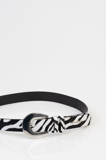 blue jean traders zebra print belt with a silver buckle and black interior
