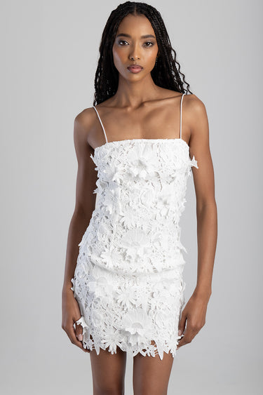 YOUNG & IN LOVE MINI DRESS