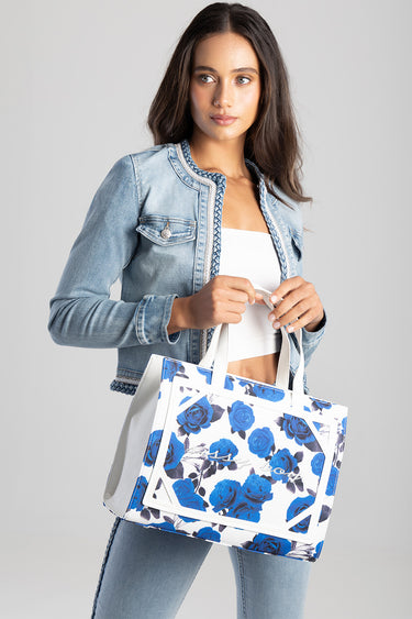 #colour_blue-white